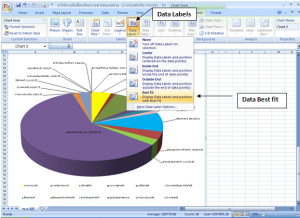 Data Lables (Best fit)